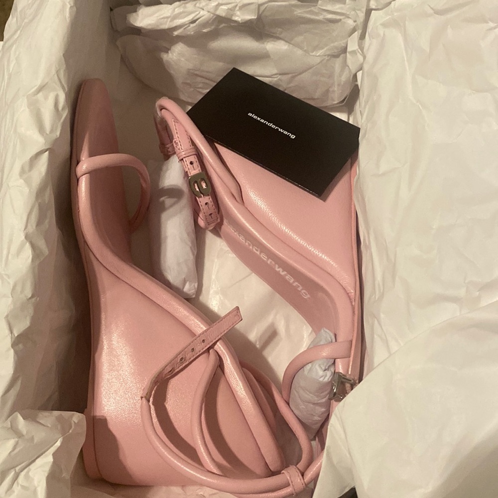 Alexander Wang Soft Pink Dahlia Wedge Sandal. Brand new never worn